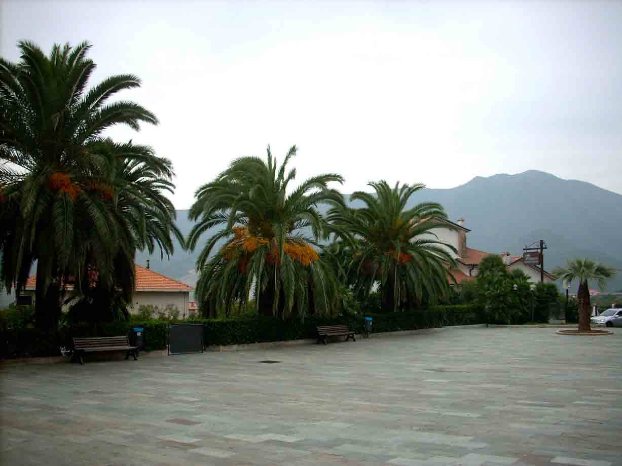 Veduta sulle montagne dal centro