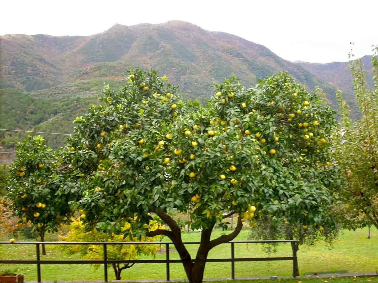 Veduta del paesaggio boissanese