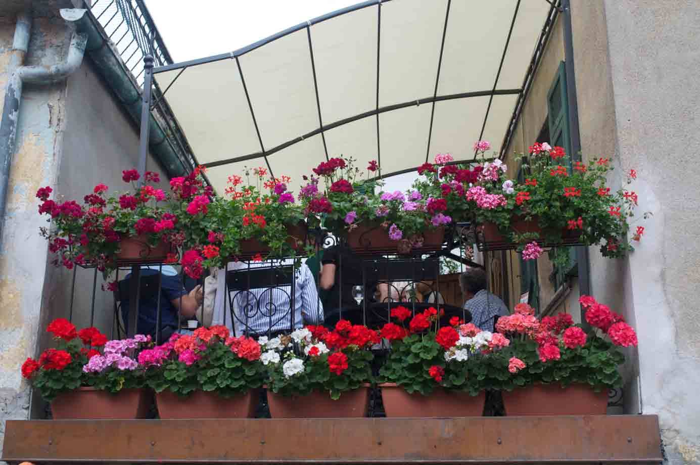 Il terrazzo fiorito dell'Antica Trattoria della Posta