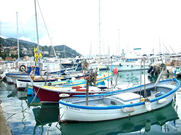 Nel porto di Rapallo