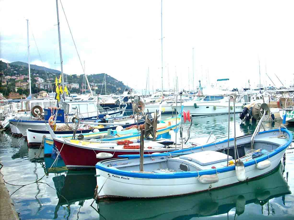 Nel porto di Rapallo