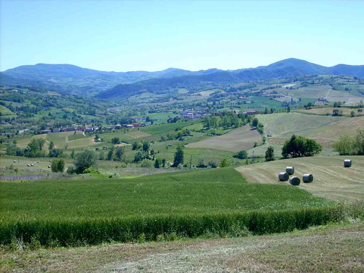 Le dolci colline di Borgonovo Val Tidone
