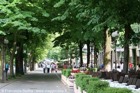 Viale Romagnosi a Salsomaggiore Terme