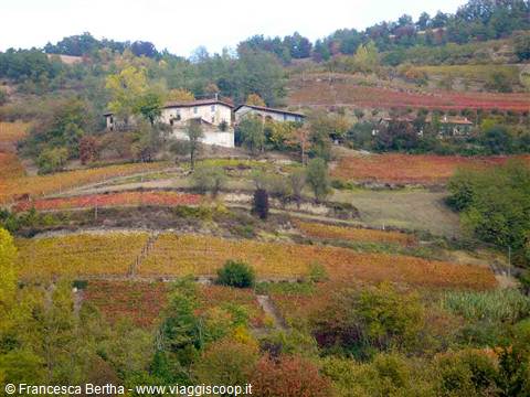 I colori dell'autunno intorno ad Alba