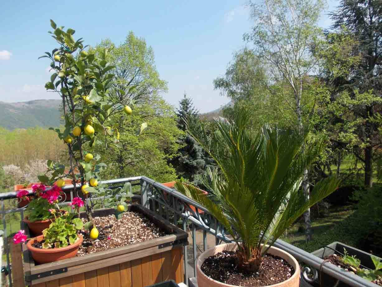 Sul terrazzo del Ristorante Donna Sofì