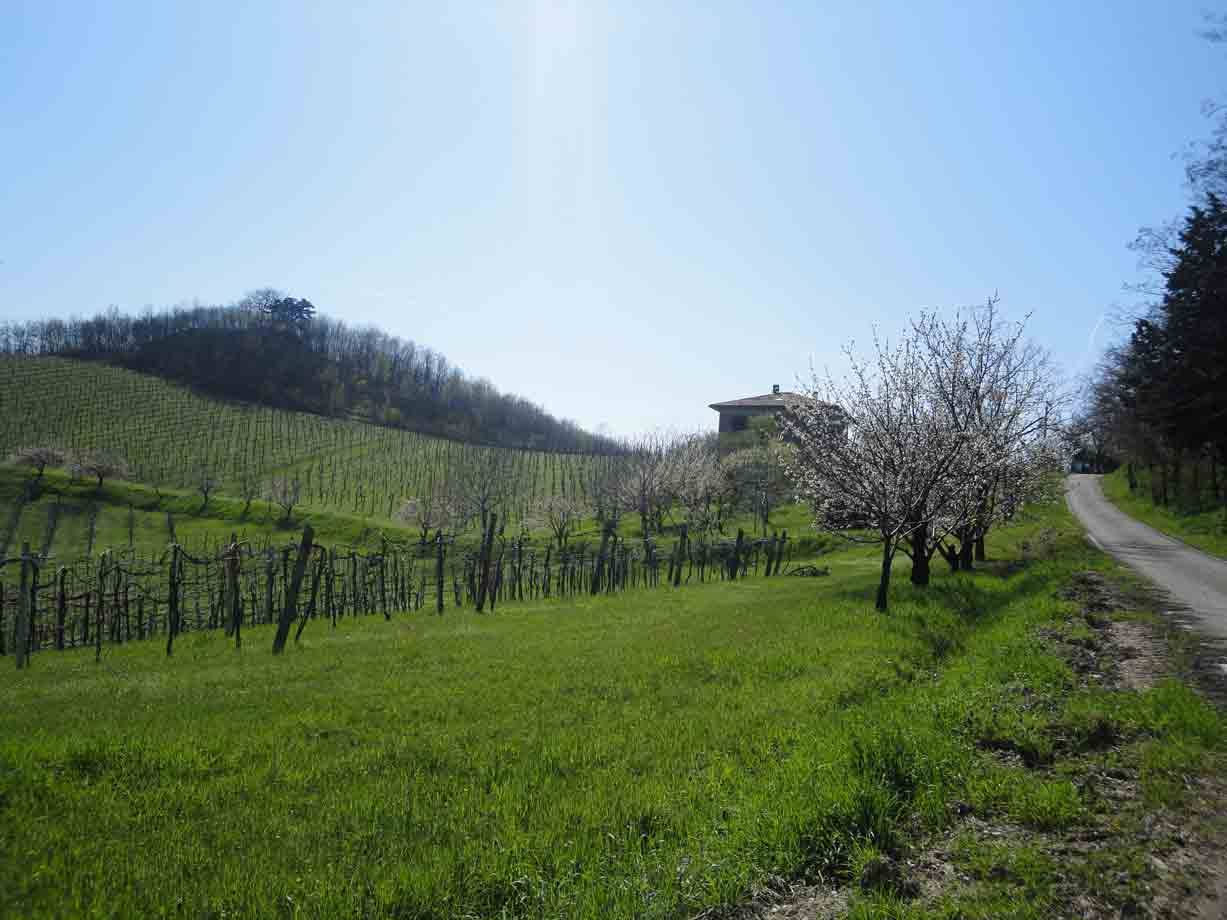 Nei dintorni di Monteveglio