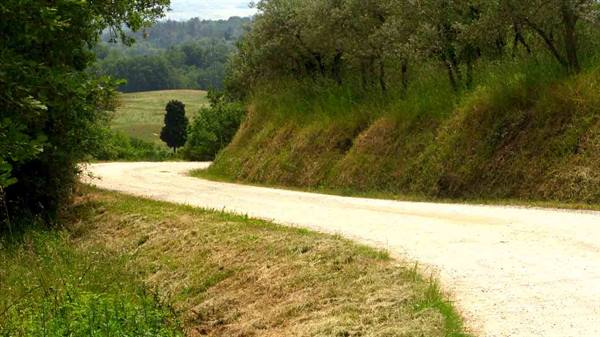 Nella campagna di Figline