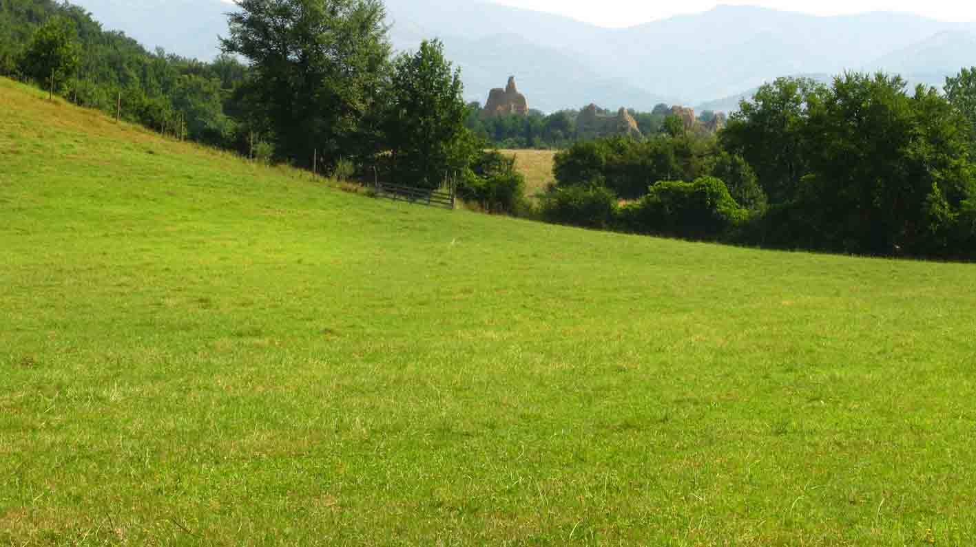 Prato verde con alberi e recinto di legno, lontano una chiesa tra le colline