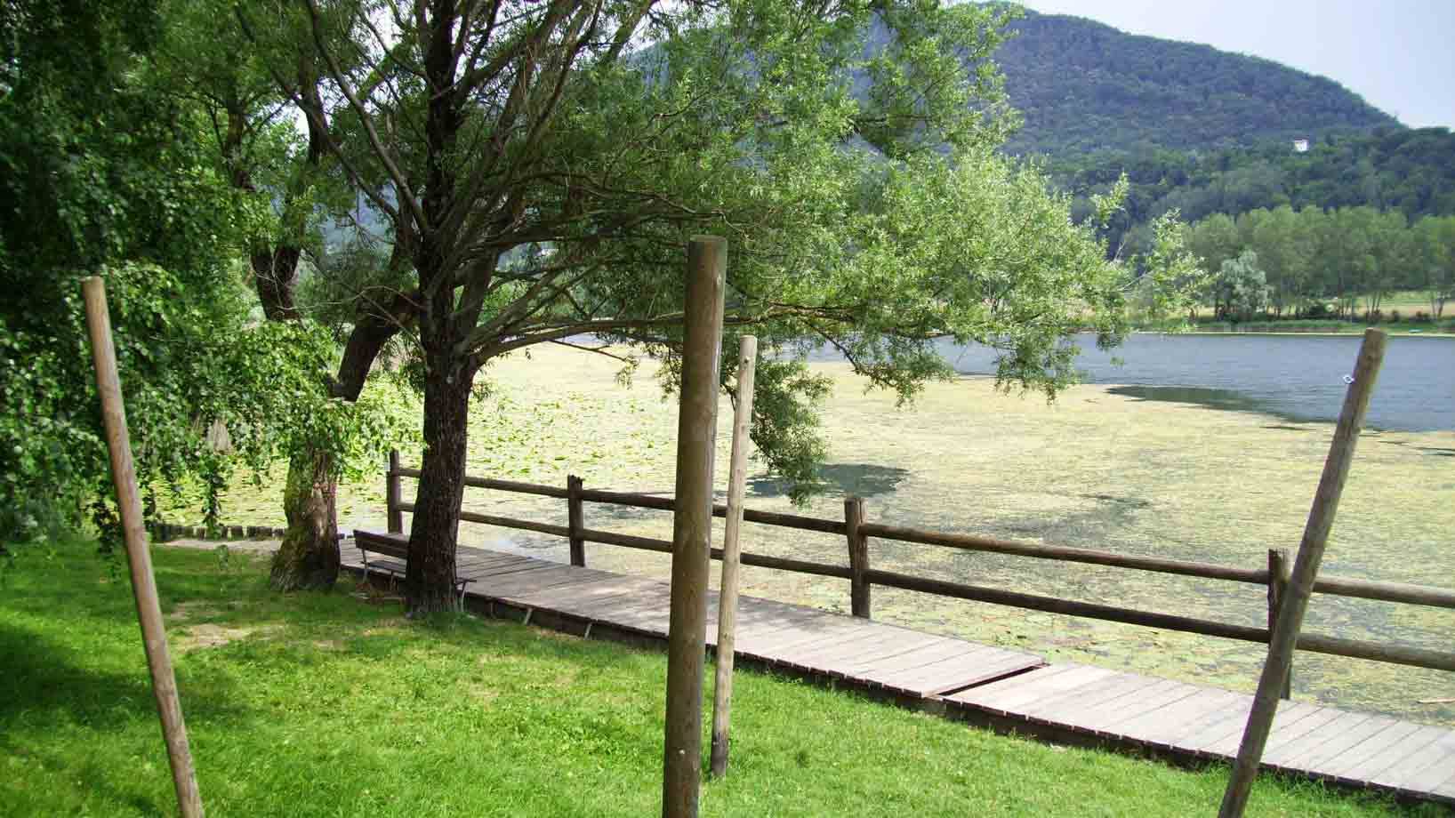 Passerella in legno lungo il lago coperto di alghe, panchina sotto gli alberi