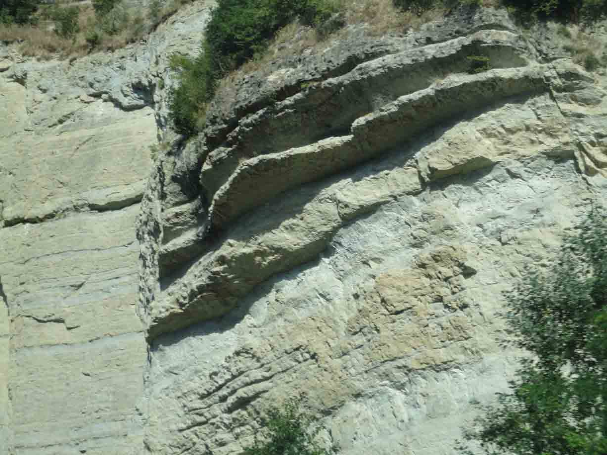 Parete rocciosa stratificata in luce diurna, con cespugli verdi alla base e in cima