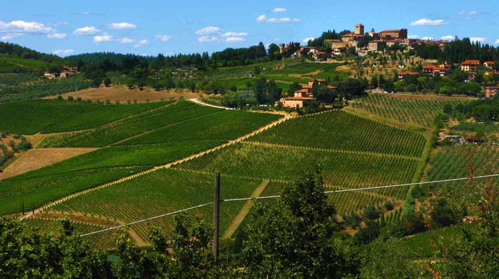 Vigneti a file verdi sotto un borgo collinare con case in pietra, luce mattutina