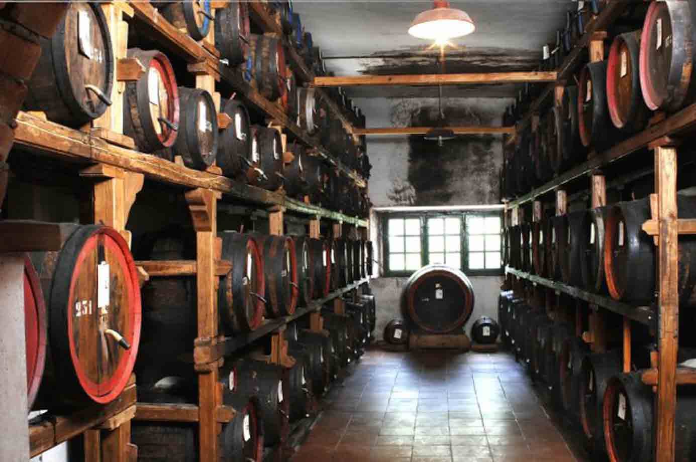 Cantina con botti di legno su scaffali di travi, luce da lampadario e finestra