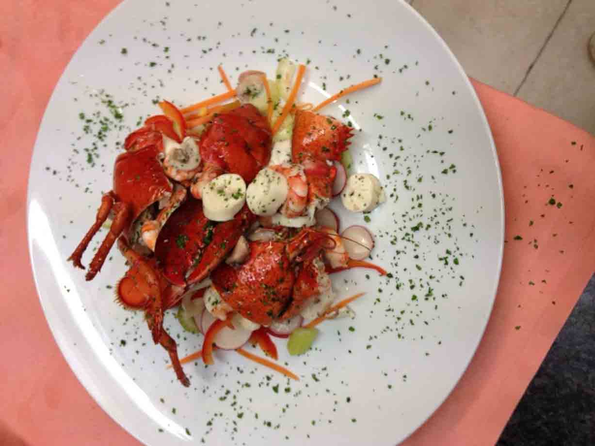 Piatto bianco con aragosta, mozzarelle, ravanelli e carote su tovaglia rosa