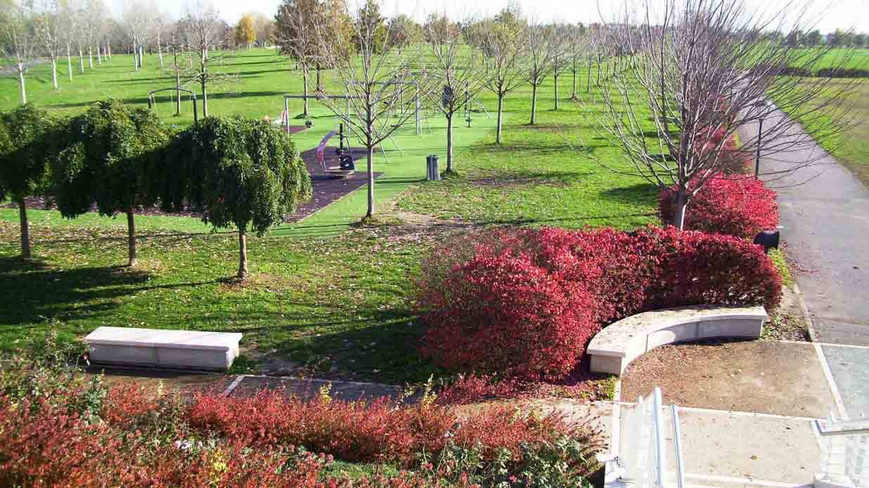 Parco urbano con arbusti rossi, panchine in pietra e viale alberato in autunno