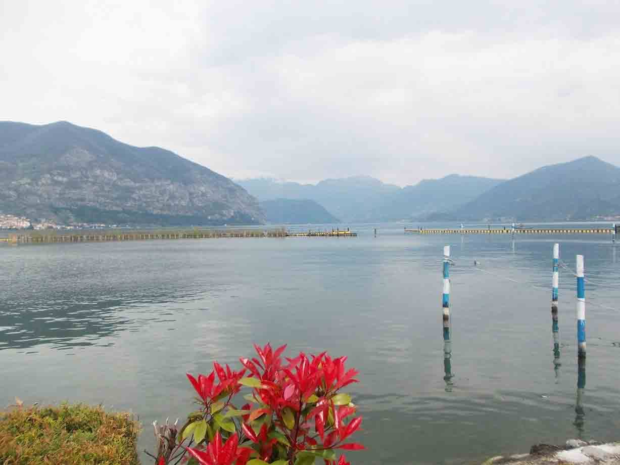 Fiori rossi in primo piano sul lago Iseo, pali blu e montagne coperte dalle nuvole