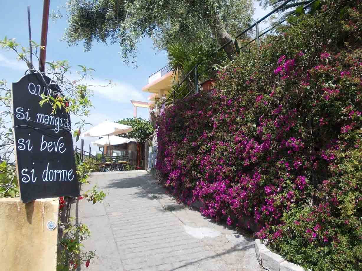 Lavagna con scritte accanto a vialetto in pietra coperto di bouganville