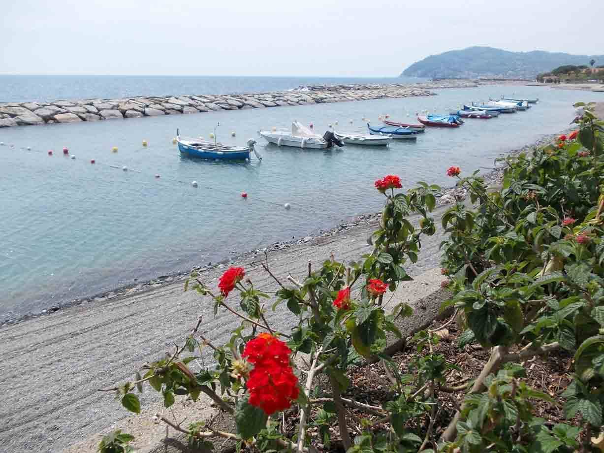 Barca blu e pescherecci ormeggiati presso la scogliera, fiori rossi in primo piano