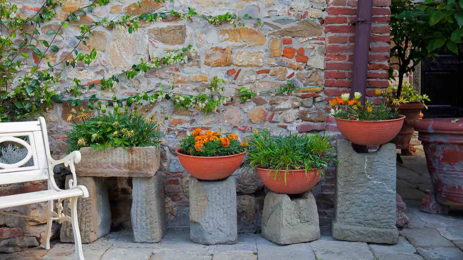 Vasi di fiori arancioni su ceppi di pietra contro muro rustico