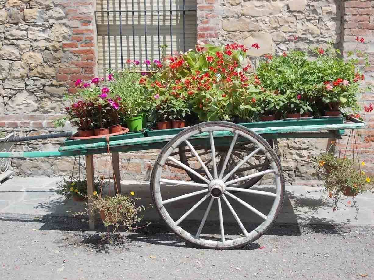 Foto di viaggio in ITALIA
