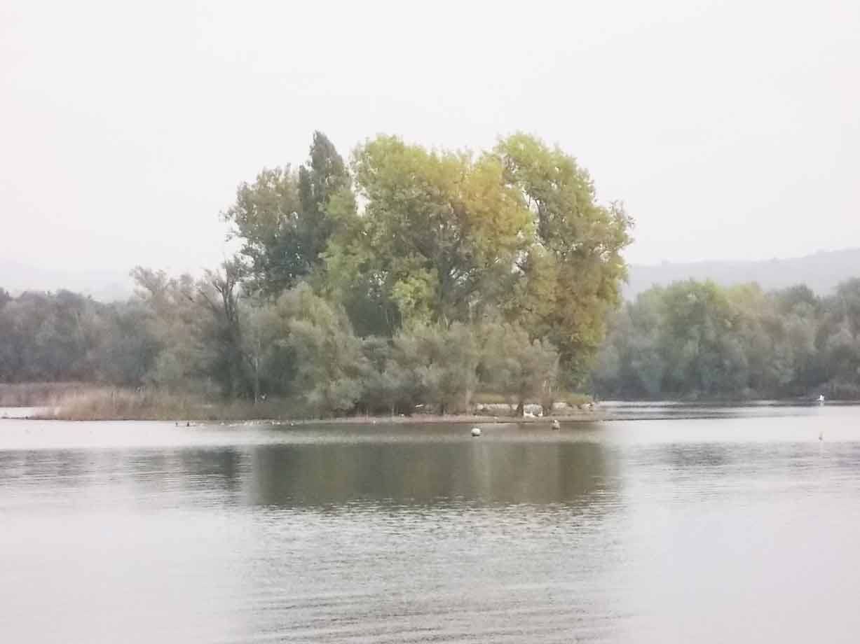 Isola con alberi verdi e gialli al centro di un lago in giorni nebbiosi