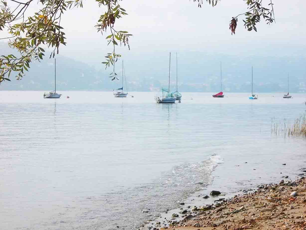 Vele ferme in acque nebbiose, ramo frondoso in primo piano, spiaggetta ciottolosa