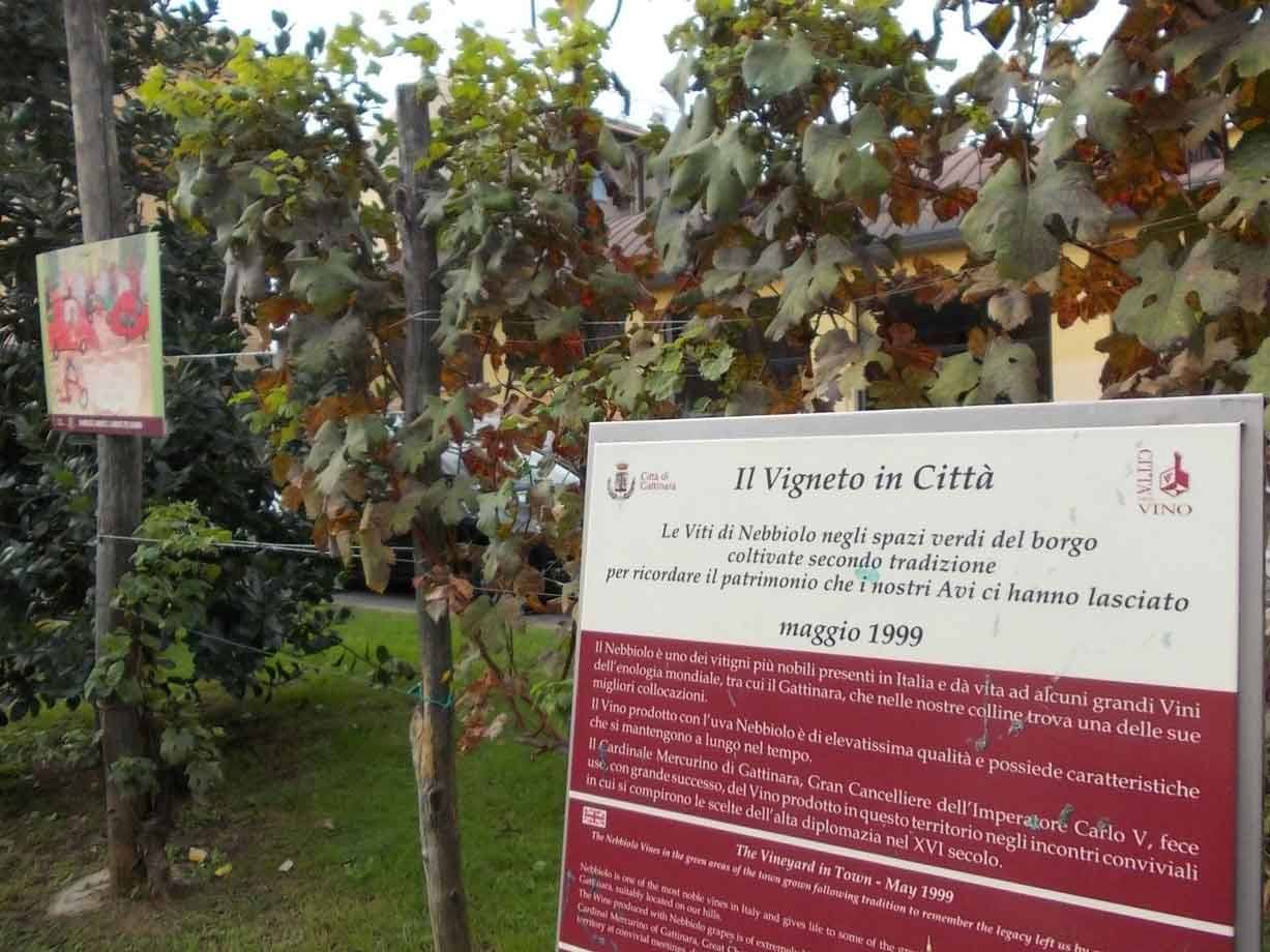 Foto di viaggio in ITALIA
