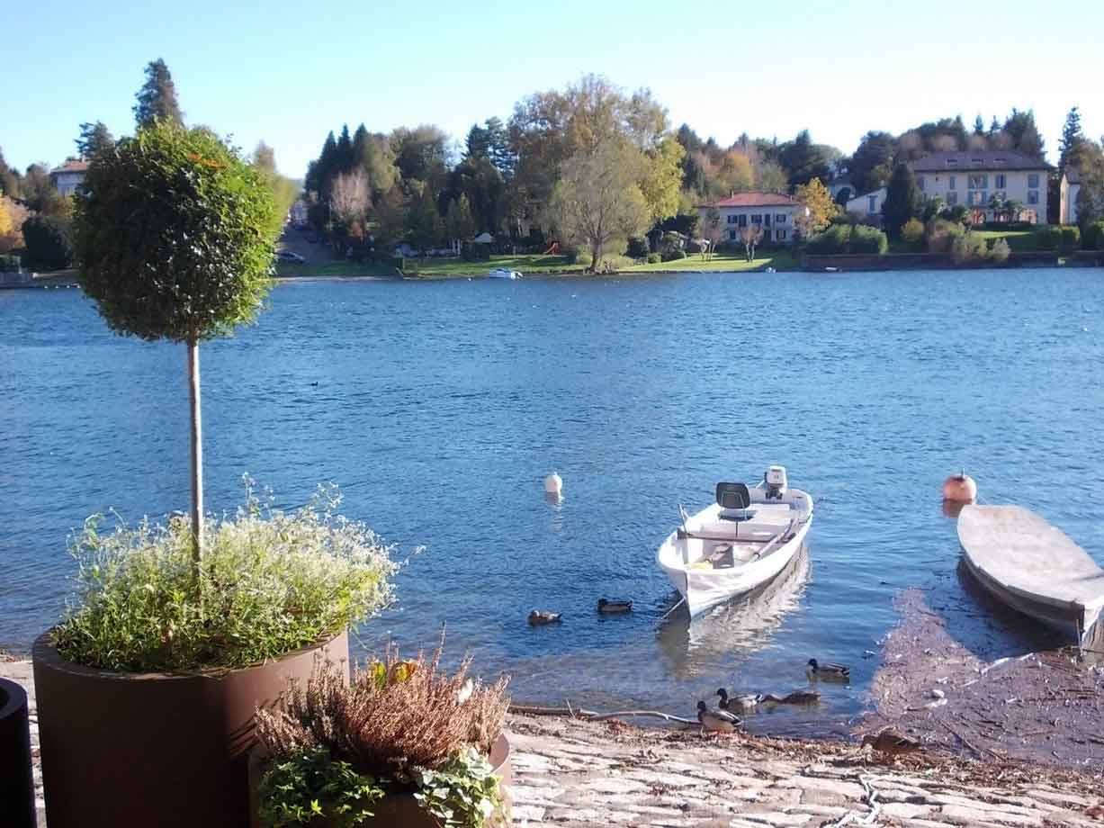 Barche a motore e anatre sulla riva del lago, vasi con arbusto, case dietro gli alberi