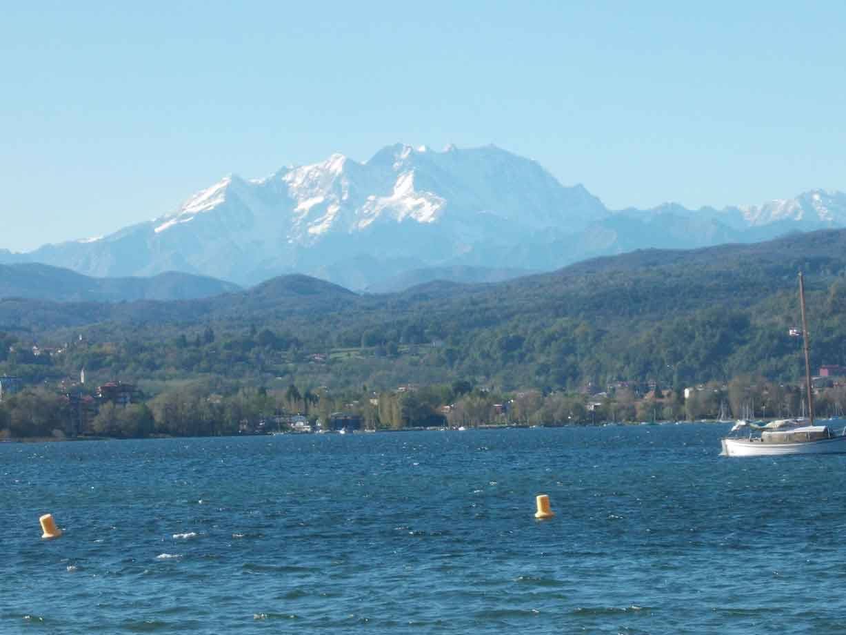 Vele e boe gialle sul lago, sullo sfondo le Alpi innevate