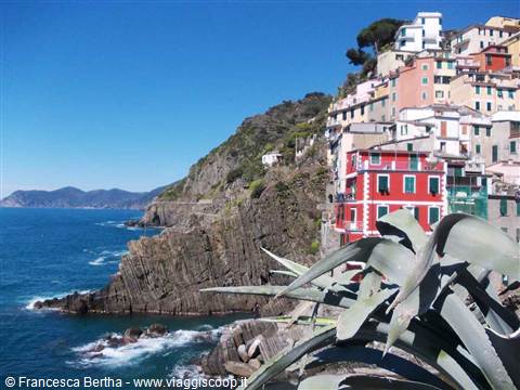 Così incredibile, così incantevole: un paradiso terrestre chiamato La Francesca - Parte I.