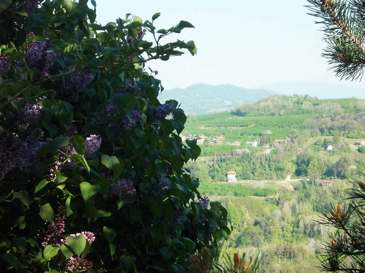 Foto di viaggio in ITALIA