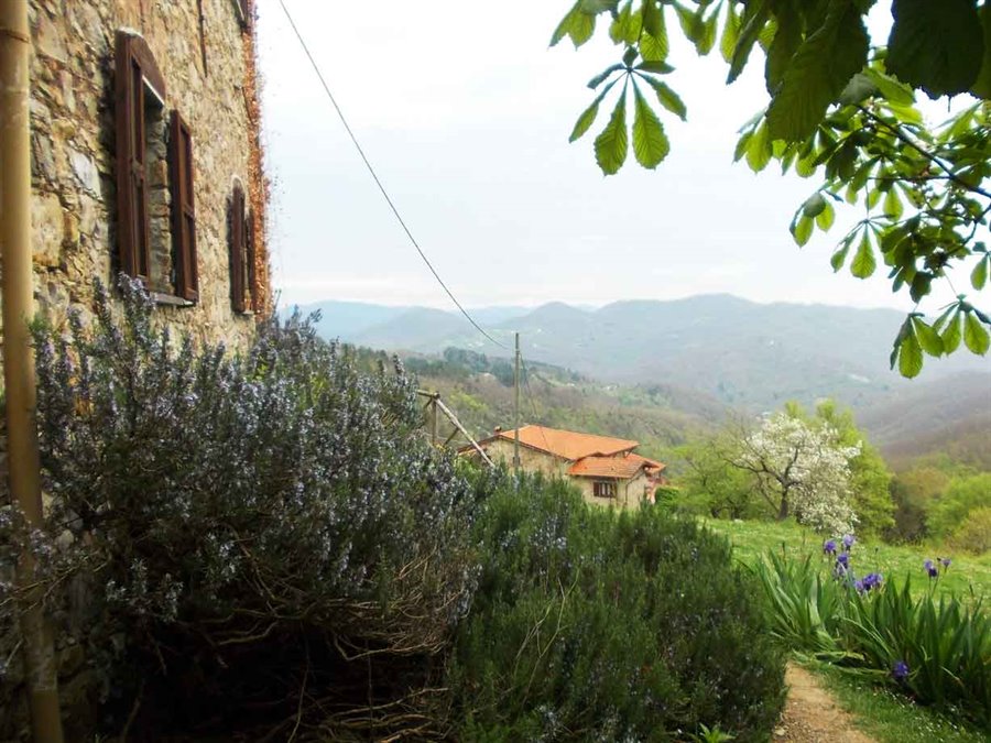 Un weekend da Tarzan nell’entroterra ligure: gita a Tavarone - Parte I.
