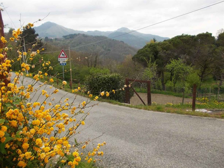Foto di viaggio in ITALIA