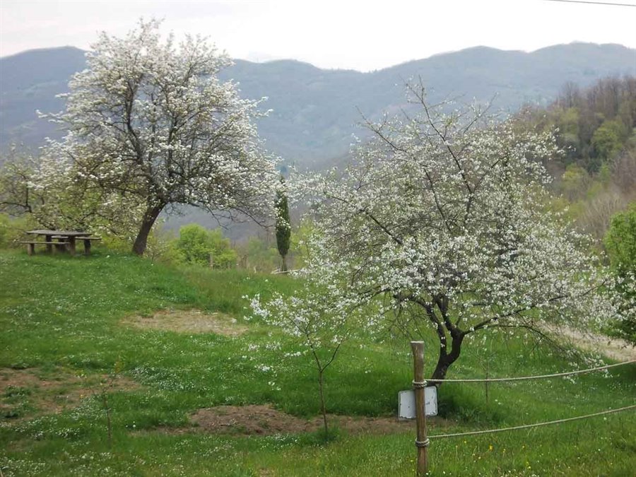 Foto di viaggio in ITALIA