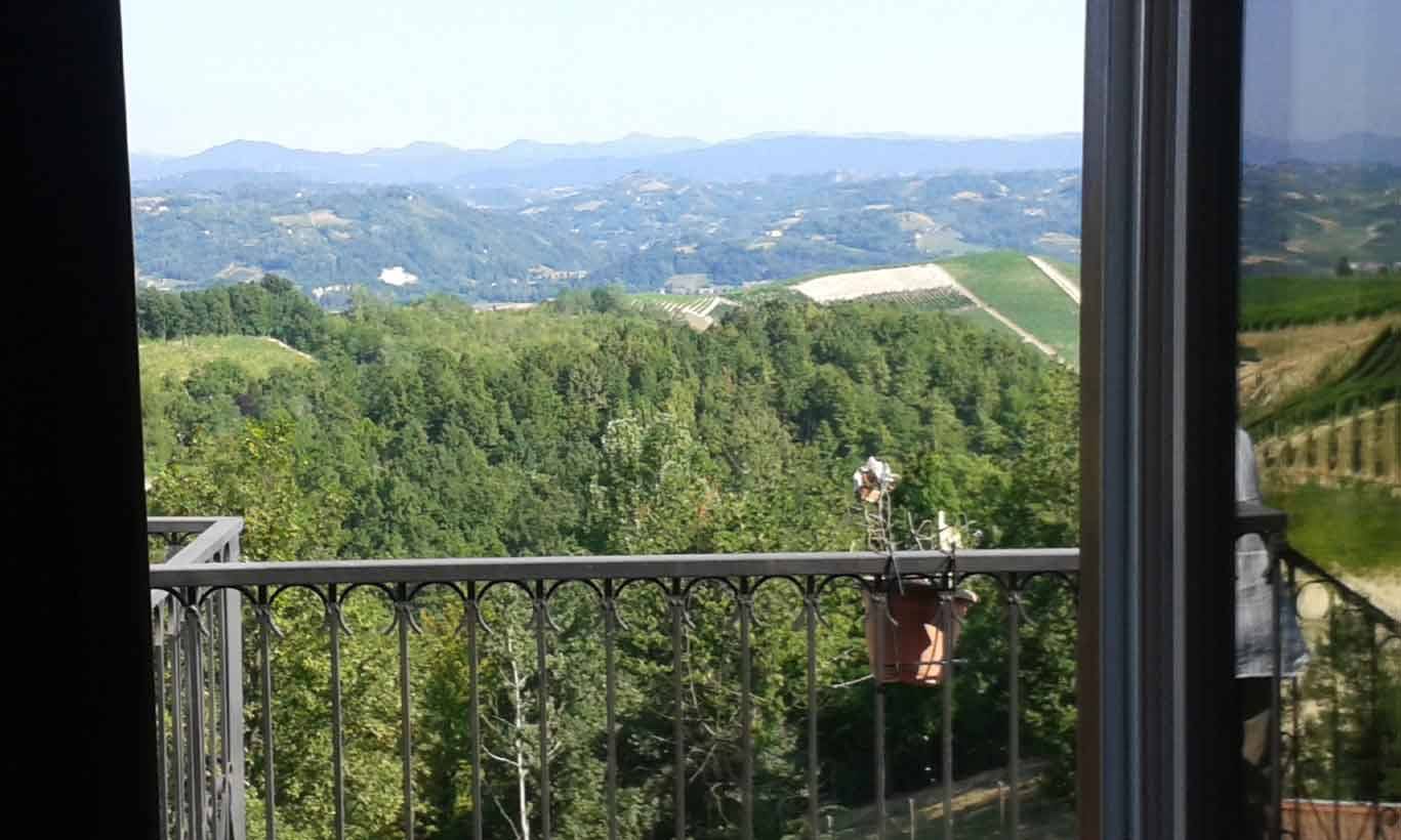 Vaso di fiori sul balcone in ferro davanti alle colline coltivate a vigneti