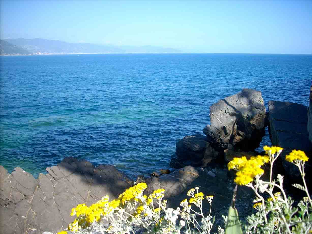Foto di viaggio in ITALIA