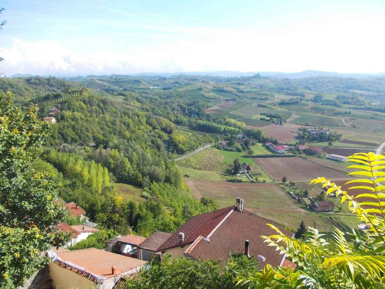 Tetti di casa con tegole rossicce sopra colli coltivati e boschi verdi