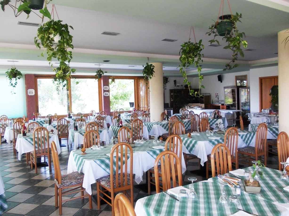 Sala ristorante vuota con tavole apparecchiate, tovaglie a quadri verdi e piante appese