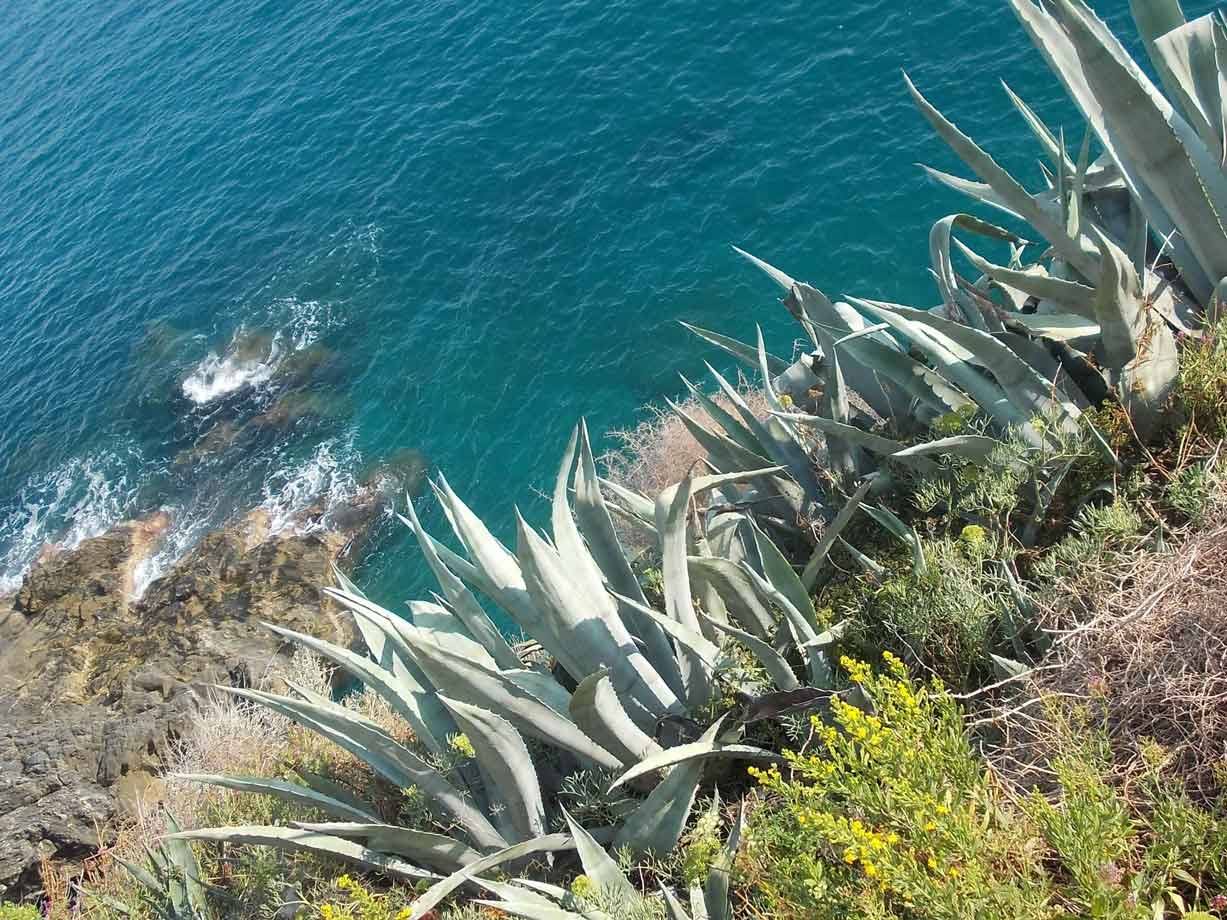 Foto di viaggio in ITALIA