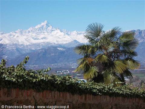 Vista sulle Alpi dalla capitale del Marchesato: una giornata a Saluzzo - Parte I.
