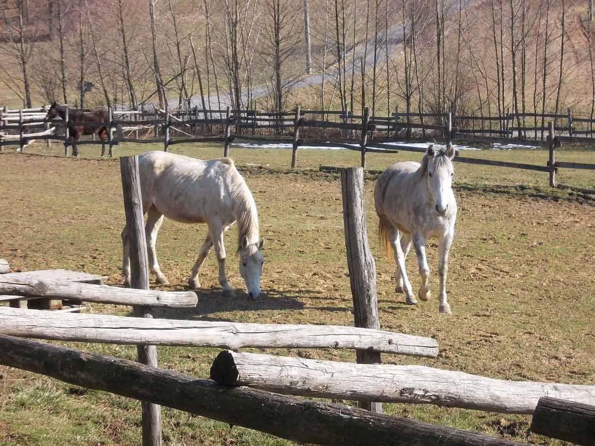 Foto di viaggio in ITALIA