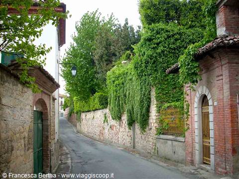 Vecchi muri nel verde