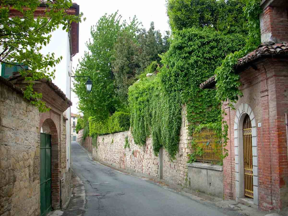 Una strada di Carpeneto