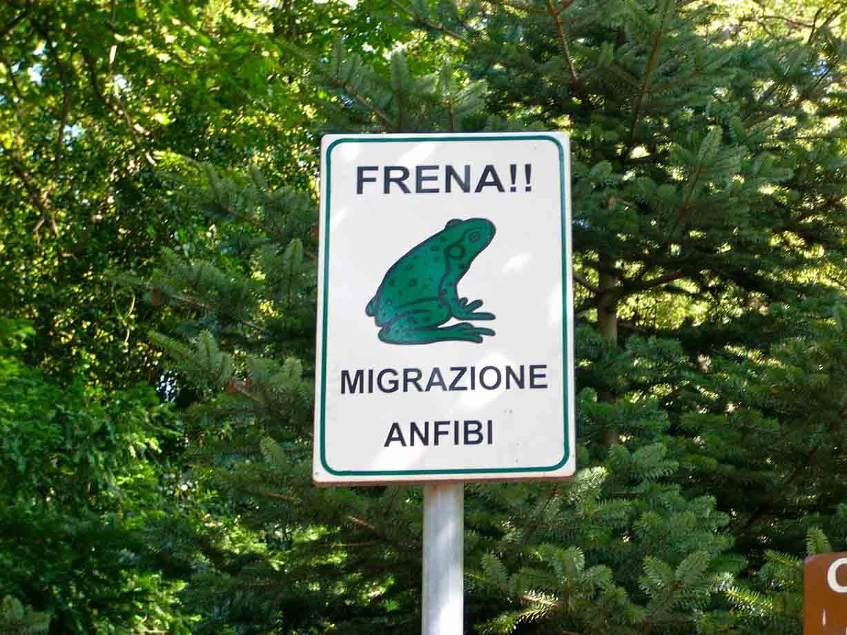 Frena!!!!!