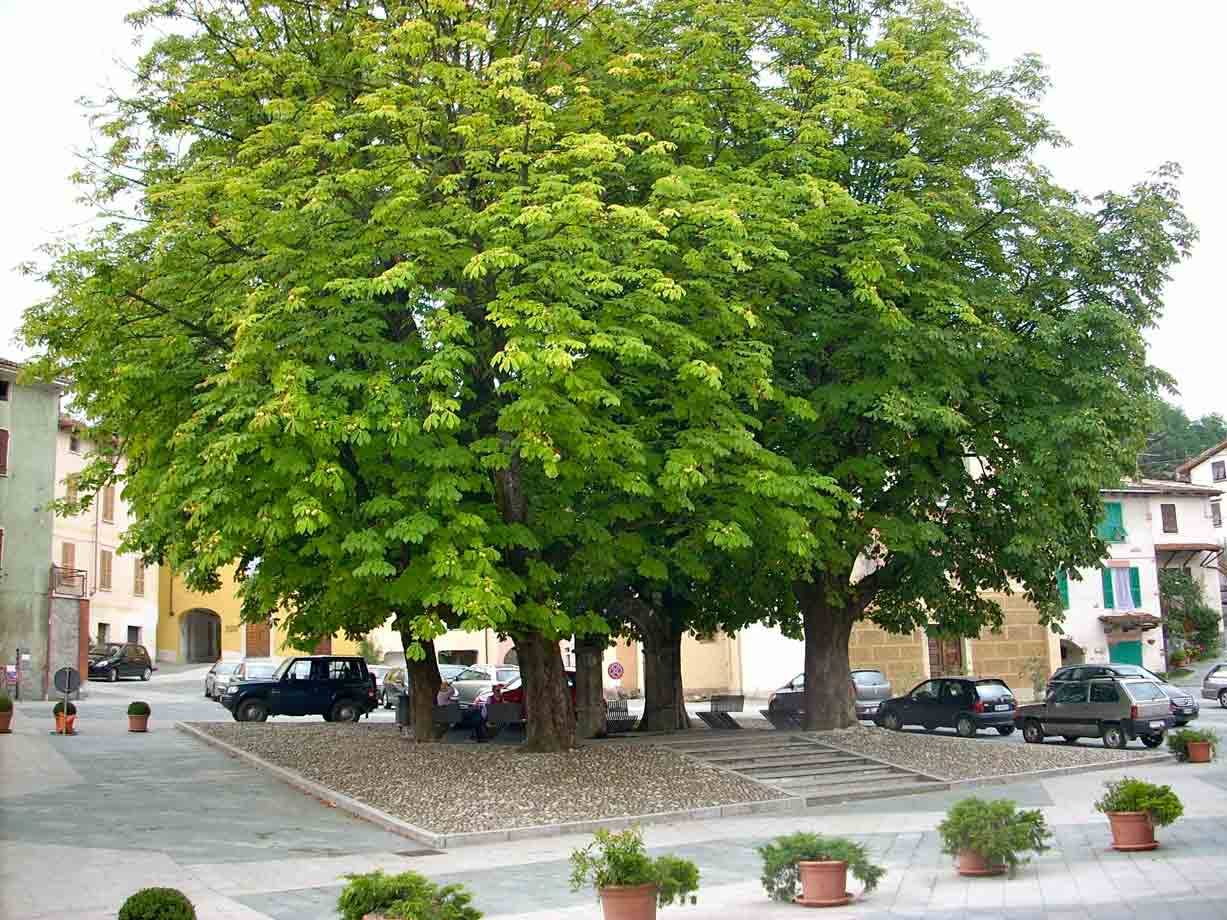Piazza Principe Doria