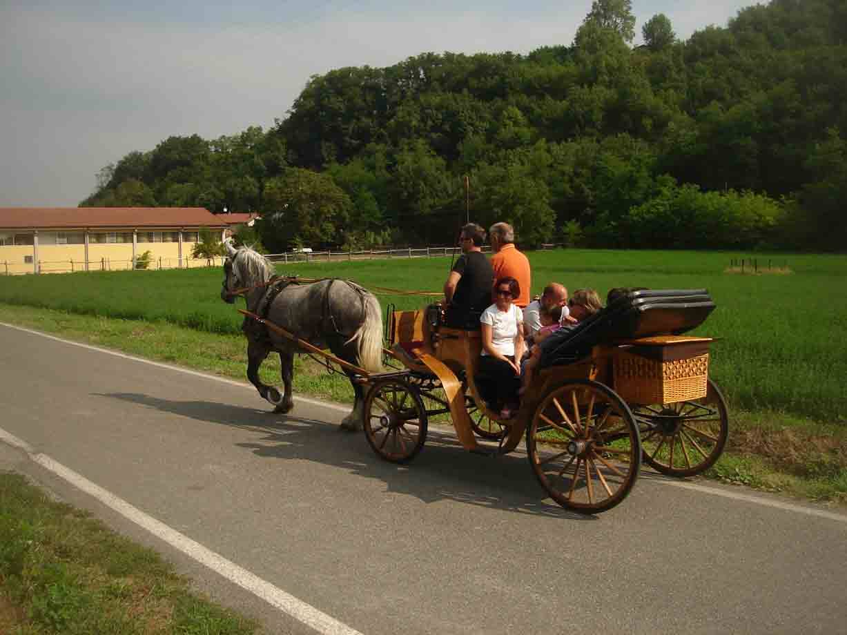 Gita in carrozza presso Casa Castellini