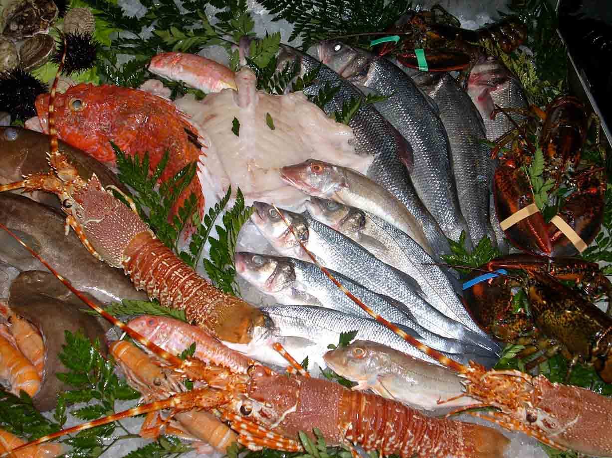 Tante varietà di pesce presso il Ristorante Da Maiuccia di Vigevano