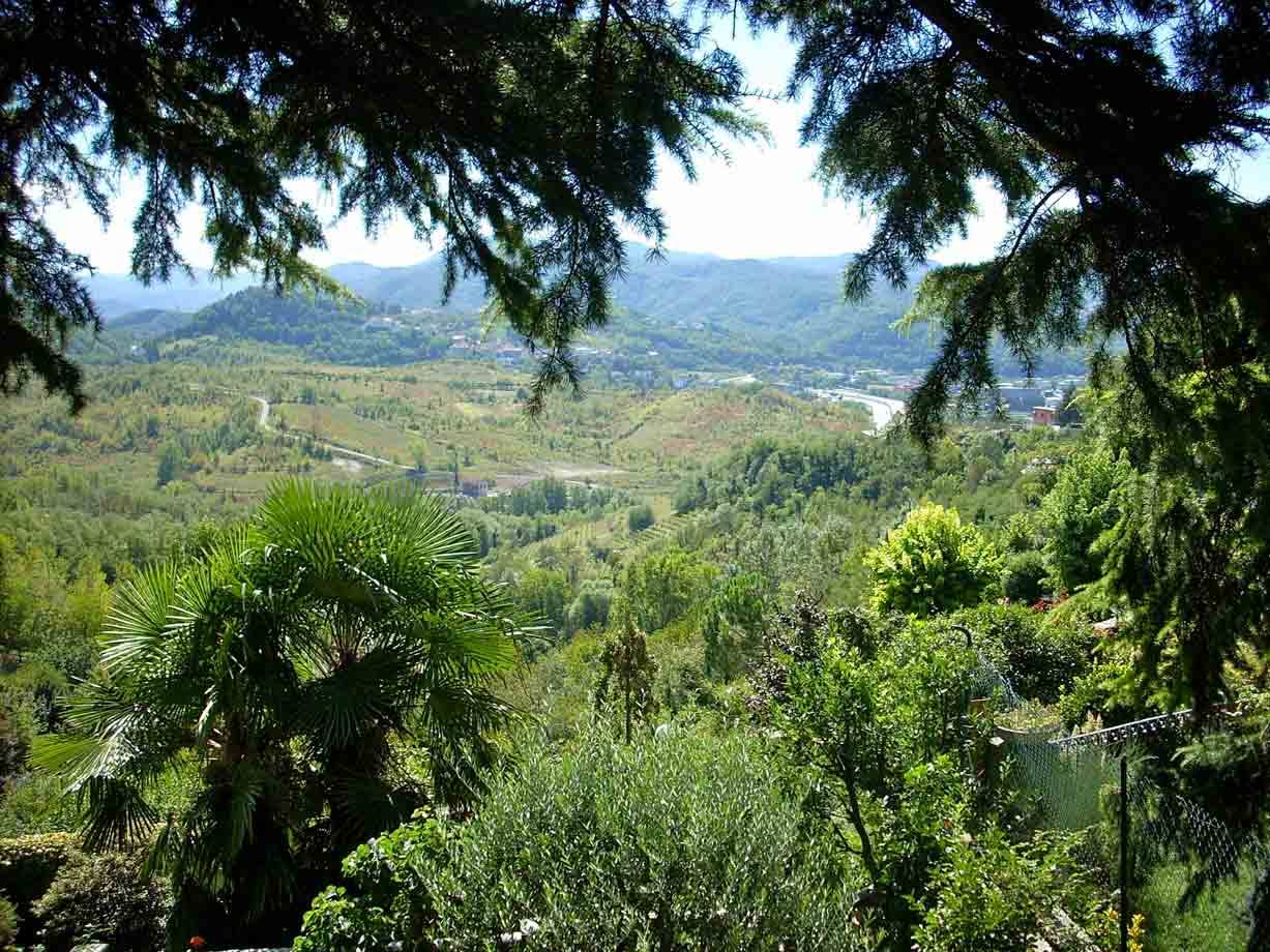 Veduta sulle colline da Tagliolo