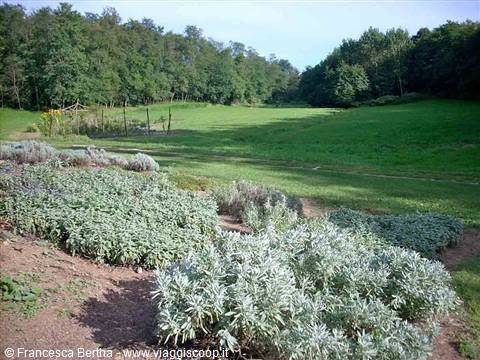 Nei prati di Cascina Molino Torrine