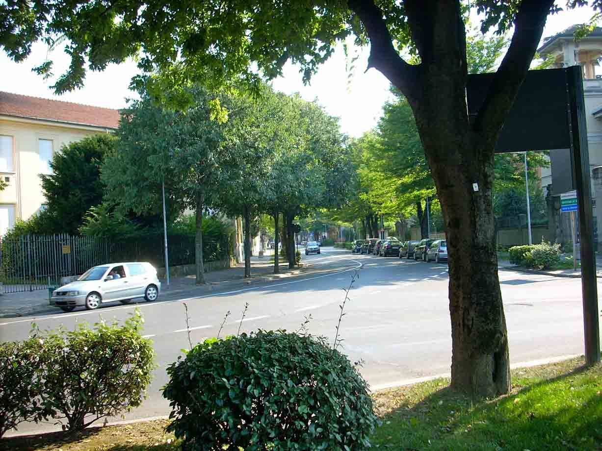 Strade alberate a Voghera