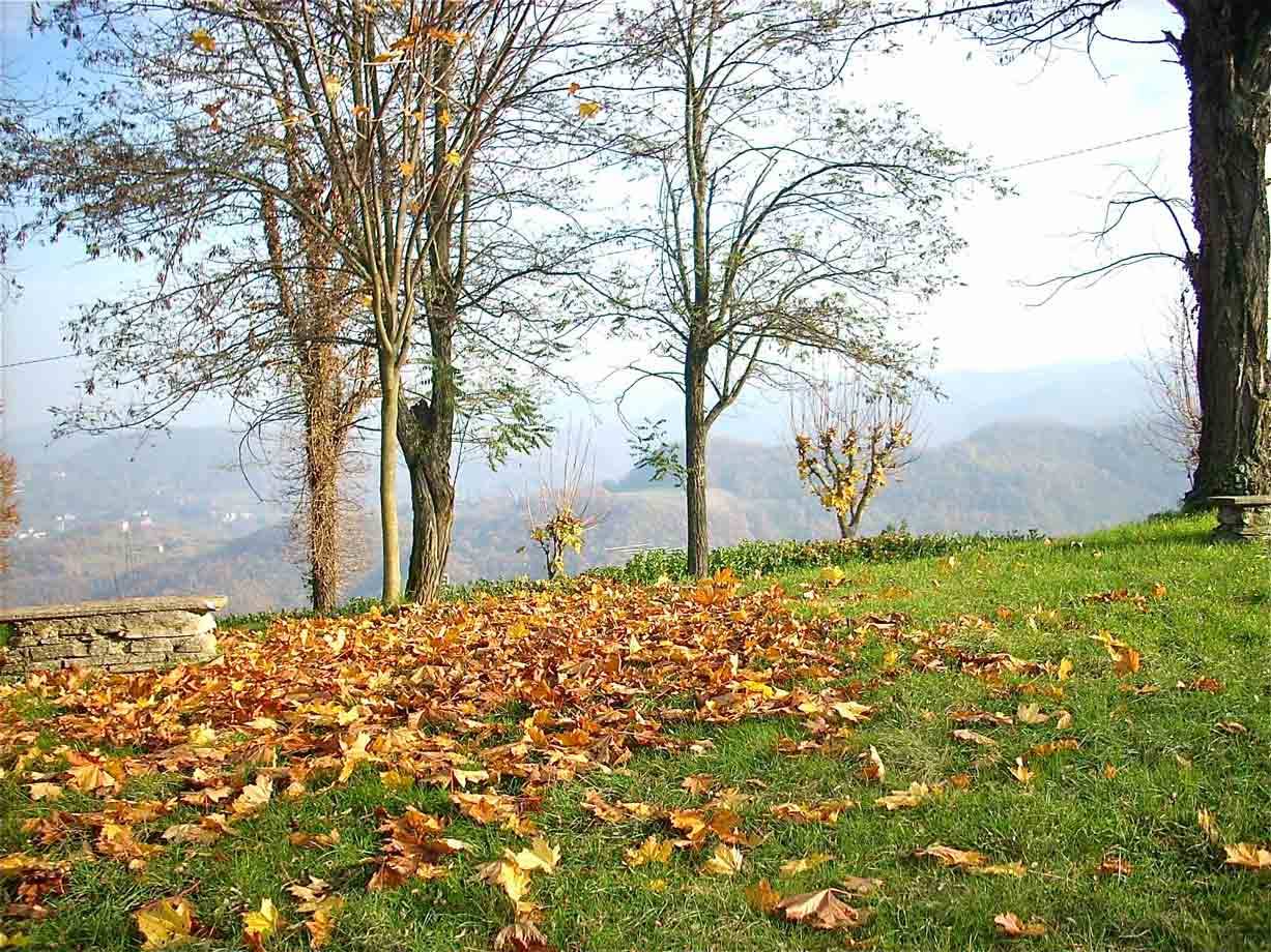 I colori dell'autunno a Ponzone